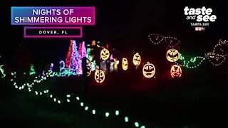 Nights of Shimmering Lights in Dover | Taste and See Tampa Bay