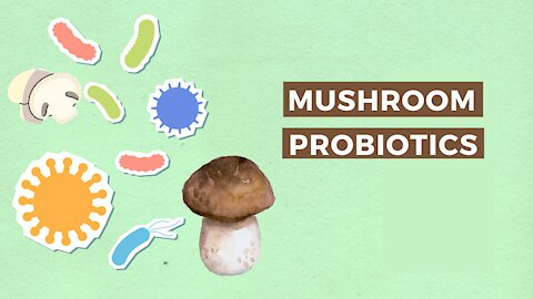 Probiotic Mushrooms
