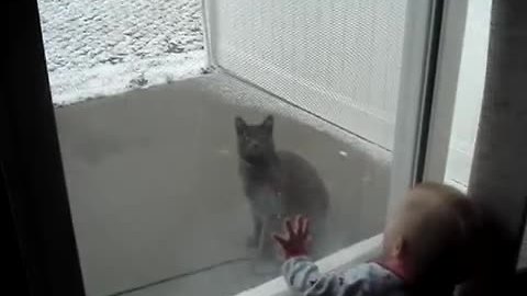 Baby cracks up at cat chasing snowflakes