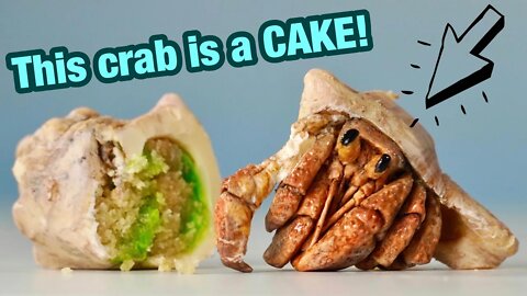 I Reached 1,000,000,000+ VIEWS! And I Made a Hyperrealistic Hermit Crab Cake 🦀