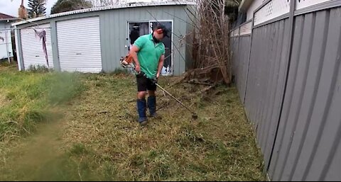 Massive yard clean up for free!