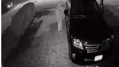Security camera captures footage of brazen thieves