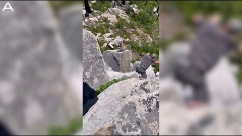 Man Attempting Free Solo Climb Loses Footing And Suffers Fall