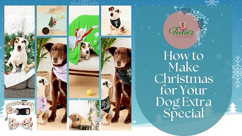 Teelie's Fairy Garden | How to Make Christmas for Your Dog Extra Special