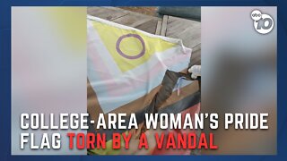 As Pride month begins, victims of vandalism put up new Pride flags