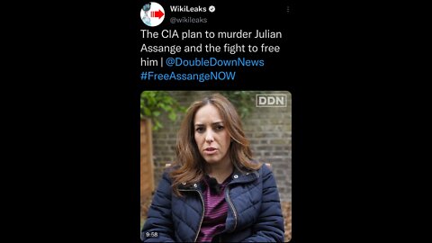 The Plan to Kill Julian Assange & the Fight to Free Him