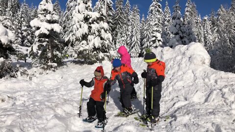 Adventures in the Snow: Snowshoeing!