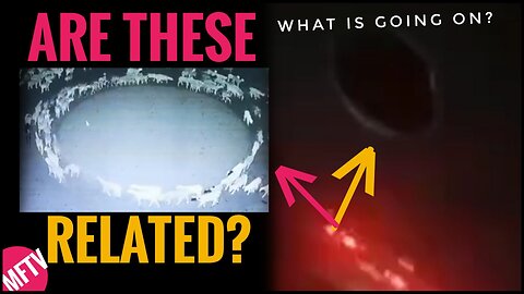ONE DEBUNKED | ONE CONFIRMED