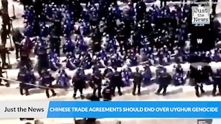 Relocate 2022 Olympics, end Chinese trade agreements over Uyghur genocide, say human rights experts