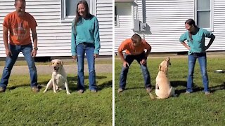 Dog clearly prefers mom to dad in hilarious experiment