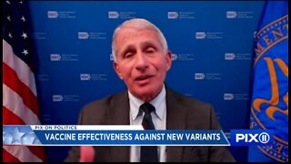 Fauci: You'll Probably Need A COVID Booster Shot Every Year
