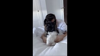 Adorable Dog Does A Little Dance With His Owner!