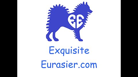 ExquisiteEurasier.com Presents an Evening with Hutch