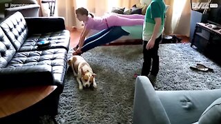 Family fails the "Plank That Song" challenge