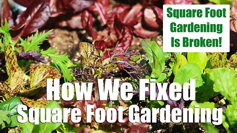 How We Fixed Square Foot Gardening And Grow More Food, Intensively!