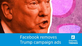 Facebook takes down Trump campaign ads for using Nazi symbol