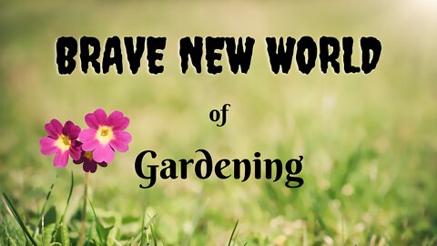 Brave New World Gardening | Lazy Potato Gardening Under Mulch