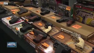 Brown County may become a 2nd Amendment Sanctuary County