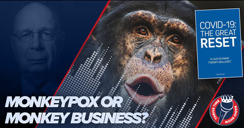 The Great Reset | Do We Have a Monkeypox Outbreak or a Great Reset Monkey Business Outbreak?