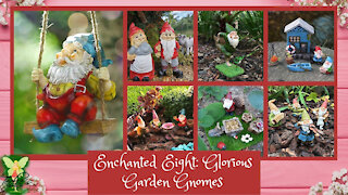 Teelie's Fairy Garden | Enchanted Eight: Glorious Garden Gnomes | Teelie Turner