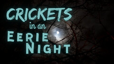 Crickets in an Eerie Night | Crickets at Night | Ambient Sound | What Else Is There?