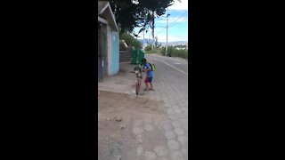 Little boy rides bicycle with his doggy best friend