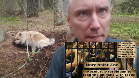 Narcissist "caring" and how to expose it. Abortion vaccine. Narcissist zoo. Rent a cave!