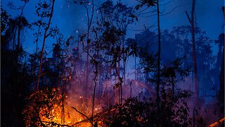 Leonardo DiCaprio accused of burning the Amazon forest
