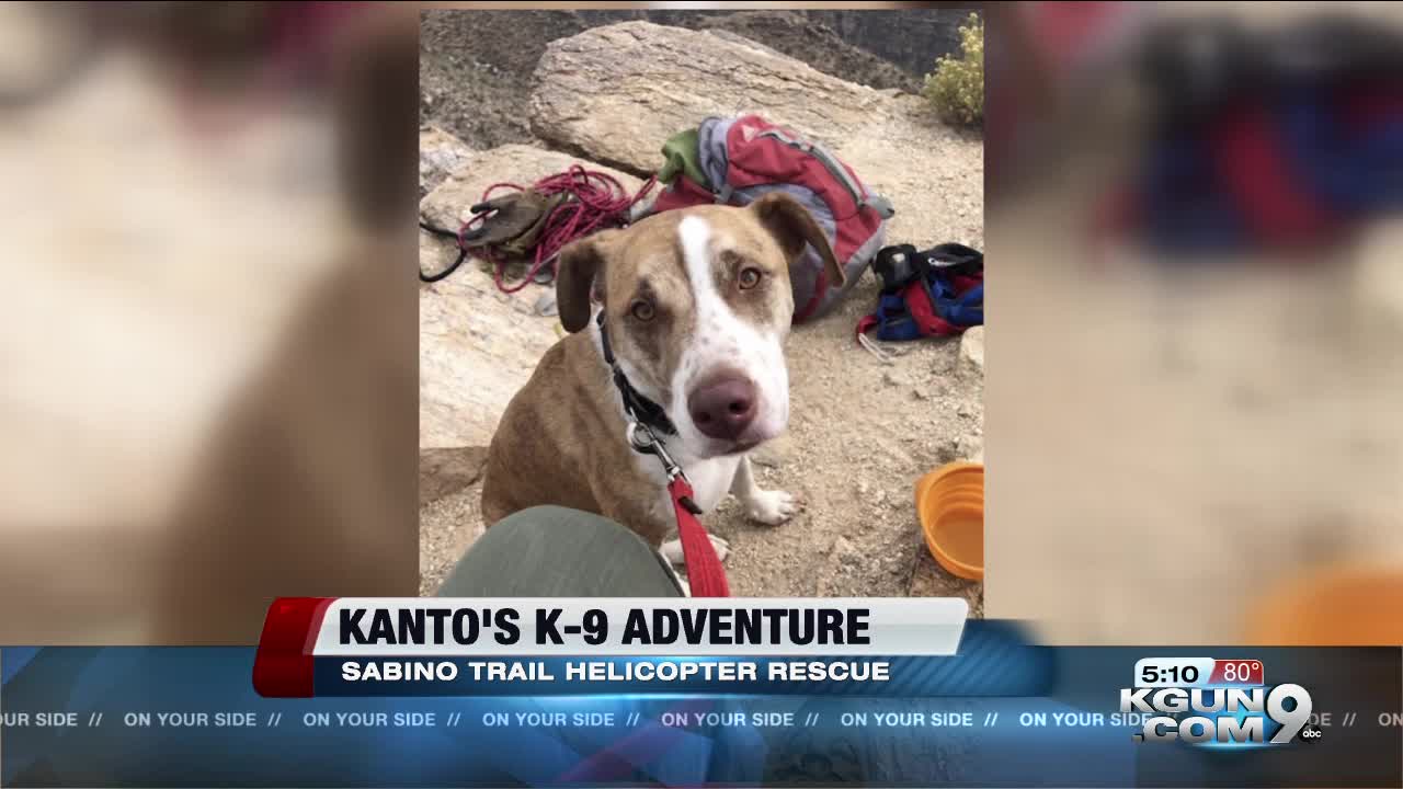 Dog rescued from edge of cliff in Sabino Canyon