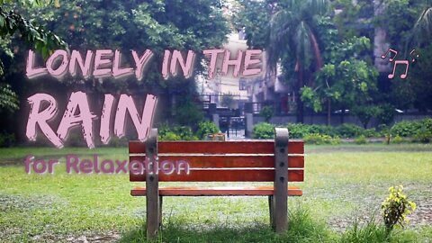 Lonely in the Rain for Relaxation | Rain Series | Ambient Sound | Lofi Beats | What Else Is There?