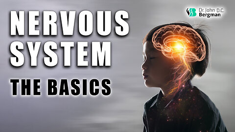 Nervous System - The Basics