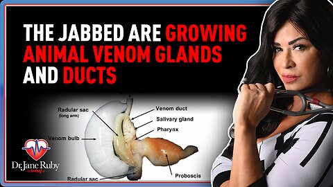 LIVE @7PM: The Jabbed Are Growing Animal Venom Glands and Ducts