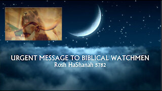 Urgent Message to Biblical Watchmen