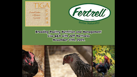 Breeding Poultry Nutrition and Management with Jeff Mattocks, November 17th, 2021