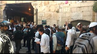 FEATURE - Dozens of Palestinians injured, several arrested following clashes with Israeli security forces at holy site (kj9)