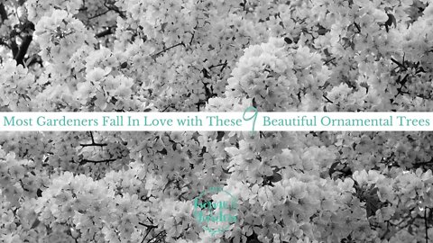 Most Gardeners Fall In Love with These 9 Beautiful Ornamental Trees