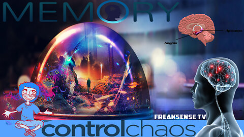 Memory ~ You Must Learn to Control the Chaos of Your own Mind...
