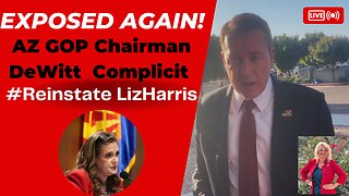 AZ GOP Chairman Reveals the Fix Was In for AZ House Representative Liz Harris