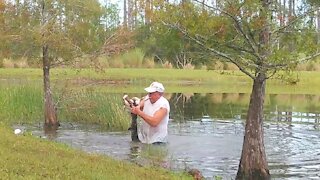 Man heroically saves puppy that was dragged into pond by alligator