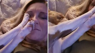 Dog has no problem invading owner's personal space