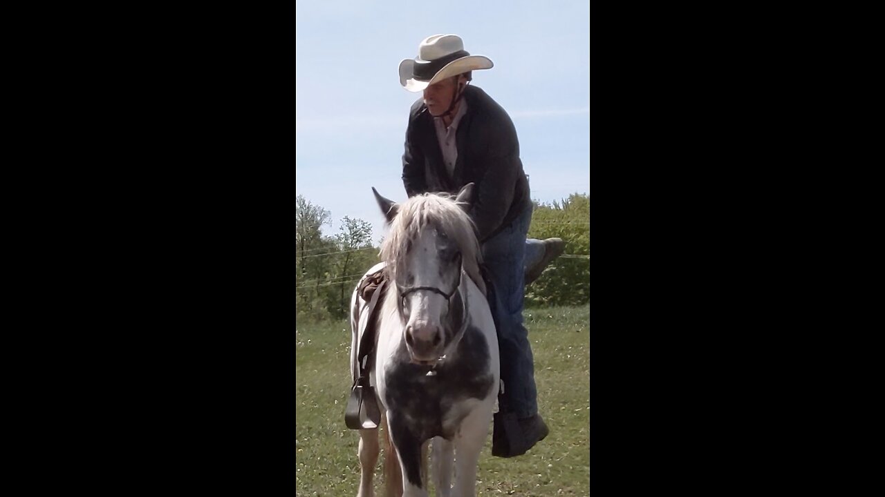 Cowboys Mount Up Four Cowboys Are About To Mount Their Horses