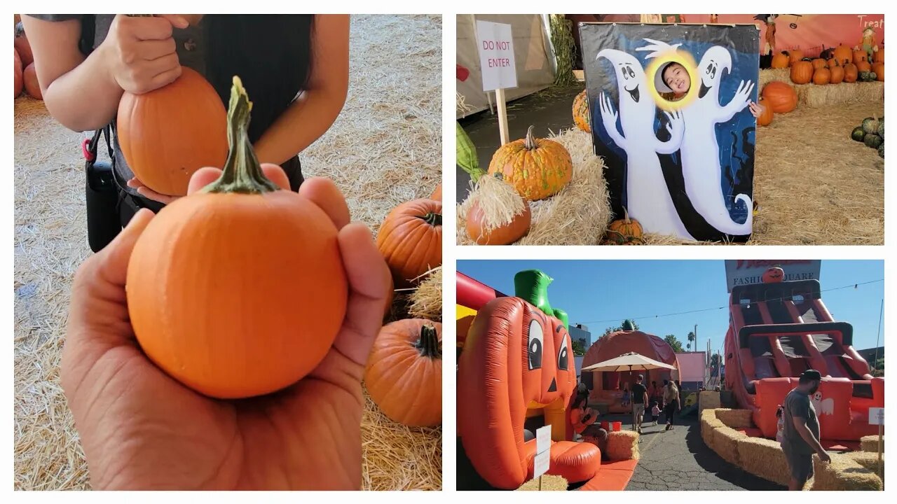 Tina's Pumpkin Patch in Sherman Oaks California. Big and small Pumpkins