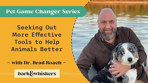 Seeking Out More Effective Tools to Help Animals Better With Dr. Brad Roach