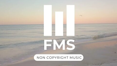 FMS - Free Non Copyright EDM Music #056