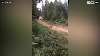 Un accident violent durant un championnat de rallye