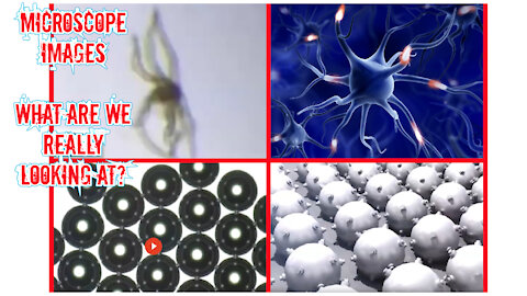 HAIL HYDRA: Covid Vax Synthetic Biology and Nanobioelectronics