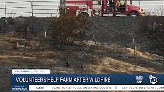 Community bands together to help Jamul farm decimated by Valley Fire