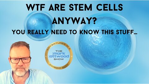 WTF are Stem Cells Anyway? You really need to know this stuff...
