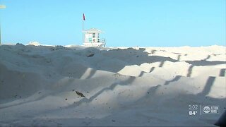 County leaders considering reopening some Pinellas County beaches