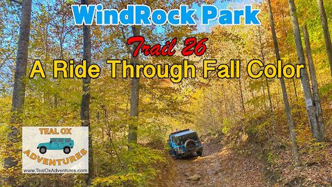 KY, TN & GA Adventure : Part 1, WindRock Park - Trail 26